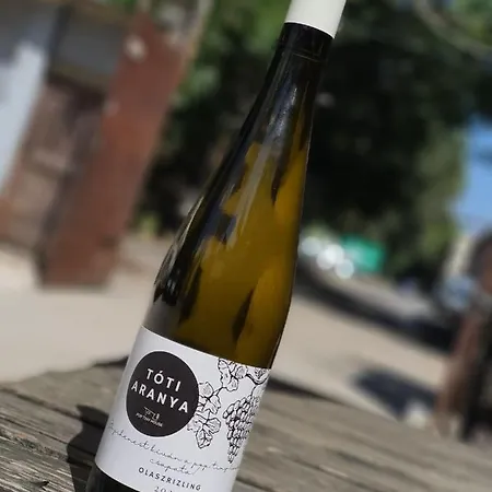 Pop Tiny House Balaton Kaptalantoti