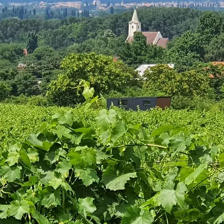 Pop Tiny House Balaton