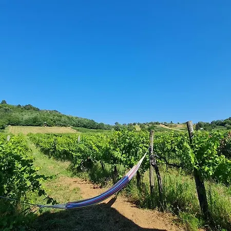 Pop Tiny House Balaton
