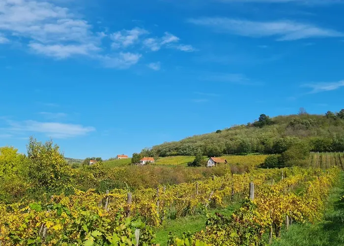 Apartment Pop Tiny House Balaton *